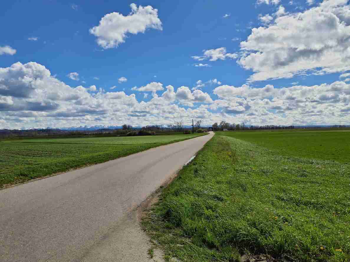 Siselenstrasse in Walperswil führt schnurgerade zwischen landwirtschaftlichen Feldern hindurch. Die schmale, asphaltierte Strasse ist trocken und leicht ausgewaschen am Rand, was auf eine Erschliessungs- oder Flurstrasse hindeutet. In der Ferne sind ein kleines Fahrzeug und eine Durchfahrt unter einer Baumallee erkennbar, keine Verkehrssignale oder Messgeräte sichtbar.