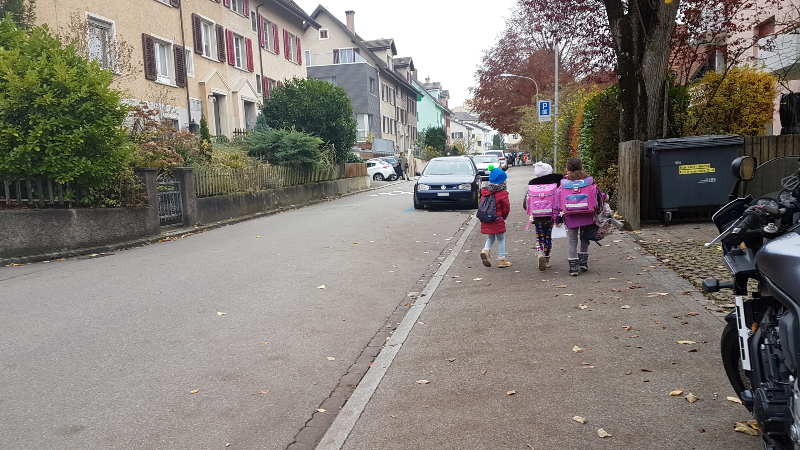 Die untersuchten Quartierstrassen haben eine hohe Bedeutung für den Schulverkehr