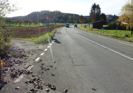 Laupen/Gümmenen, Radweg Laupen-Gümmenen