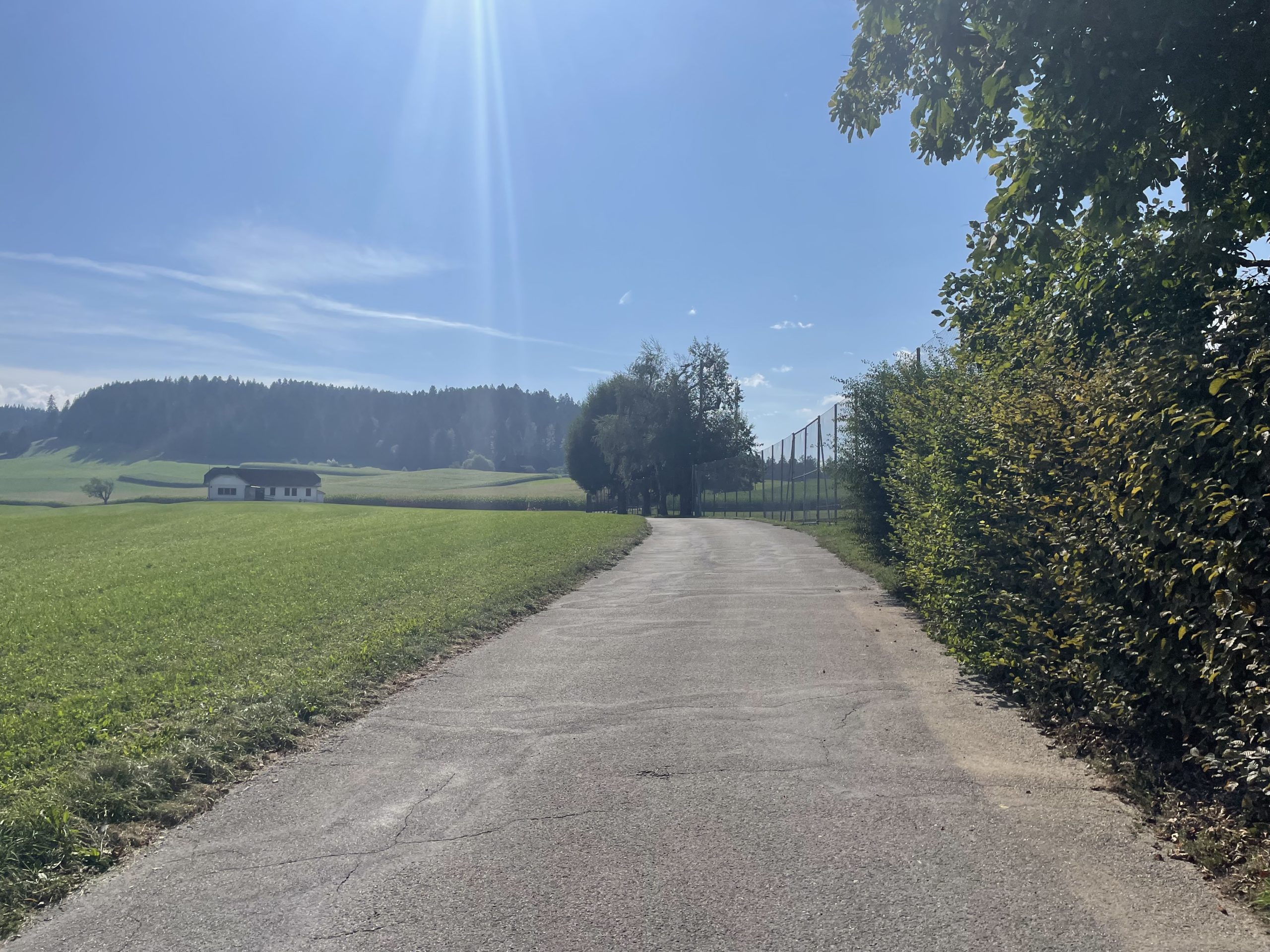 Hürnbergackerweg vor geplantem Pumptrack